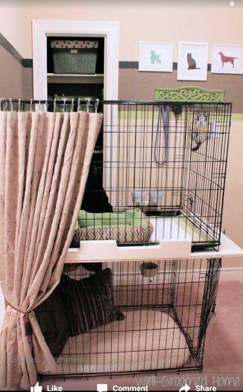 DIY doggies bunk beds w/privacy curtain.  So cute! Dog Grooming Supplies Organization, Grooming Room, Unusual Pets, Dog Grooming Shop, Dog Grooming Salons, Dog Crates, Large Dog Crate, Grooming Shop, Dog Cage