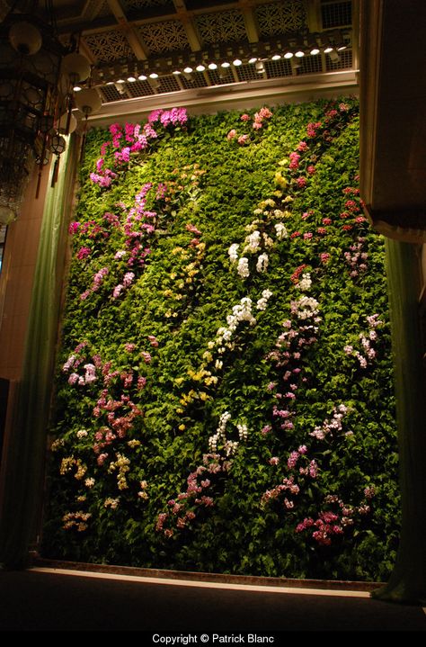 Vertical garden for Butterfly Dance, Taipei by Patrick Blanc | ❥"Hobby&Decor" | Inspirações em Decor! | #arquitetura #architecture #decor #interiordesign Wall With Flowers, Vertikal Garden, Vertical Vegetable Garden, Building A Pergola, Vertical Herb Garden, Pergola Design, Deco Nature, Walled Garden, Wall Fountain