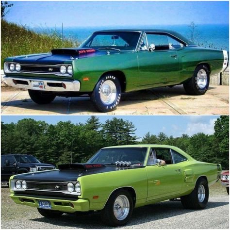 Dodge Charger Super Bee, Dodge Coronet Super Bee, Apocalypse Survival Gear, Dodge Super Bee, Dodge Cars, Hummer Cars, Dodge Muscle Cars, Dodge Coronet, Cool Car Pictures