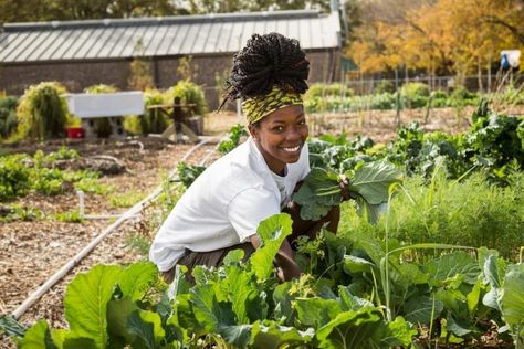 Aromatherapy Garden, Wholesome Aesthetic, Black Farmers, Farm Photoshoot, Flower Factory, Black Planters, Harvest Blessings, Green Farm, Future Farms