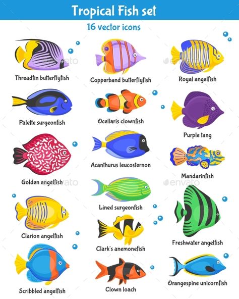 Exotic tropical fish icons set with fish species flat isolated vector illustration. Editable EPS and Render in JPG format Fish Chart, Beautiful Tropical Fish, Zestaw Ikon, Fish Icon, Live Aquarium Plants, Salt Water Fish, Fish Vector, Cool Pencil Drawings, Fish Drawings