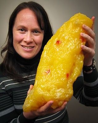 10 lbs of fat.  I think I might pass up on the extra late night snack.. 10 Pounds Of Fat, Lose 5 Pounds, Pound Of Fat, Losing 10 Pounds, 5 Pounds, 10 Pounds, Burn Fat, Get In Shape, Body Fat