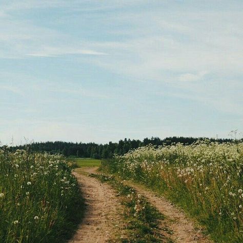 / Northern Italy, Landscape Designs, Trondheim, Cottagecore Summer, Countryside Aesthetic, Aesthetic Cottagecore, Sunset Landscape, Spring Aesthetic, To Infinity And Beyond