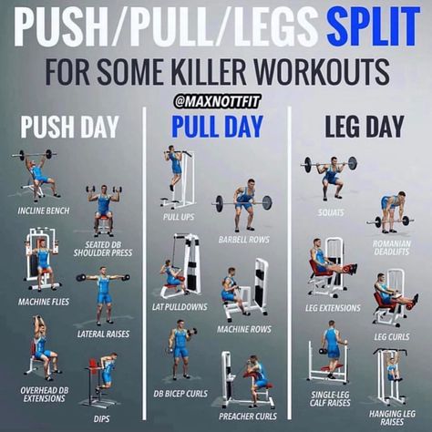 2 Push/Pull Workout Plans - Create a Full Balanced Body With These Workouts - GymGuider.com Push Pull Workout Routine, Push Pull Legs Workout, Leg Workout Plan, Weight Training Schedule, Push Day Workout, Push Pull Workout, Pull Day Workout, Fitness Before After, Bodybuilding Videos