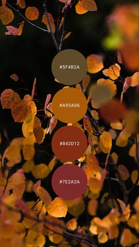 Amber Brown Color Palette, Fall Leaf Color Palette, Rust And Plum Color Schemes, Fall Paint Color Palette, Harvest Colour Palette, Burgundy And Gold Color Palette, 2024 Fall Color Palette, Pumpkin Color Palette, Autumnal Colour Palette