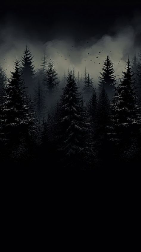 Dark Wallpaper Nature, Cool Wallpapers For Men Iphone, Black Forest Wallpaper, Wallpaper Black Dark, Dark Nature Wallpaper, Black Scenery, Dark Forest Background, Dark Forest Wallpaper, Iphone Wallpaper Dark