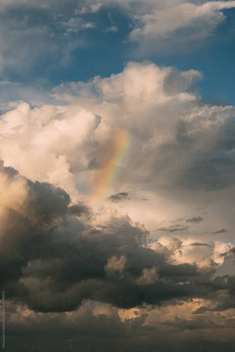 Sky Pictures Clouds, Clouds And Rainbows, Rainbow And Clouds, Nurse Shark, Clouds In The Sky, Rainbow Clouds, Beautiful Clouds, Sky Pictures, Rain Clouds