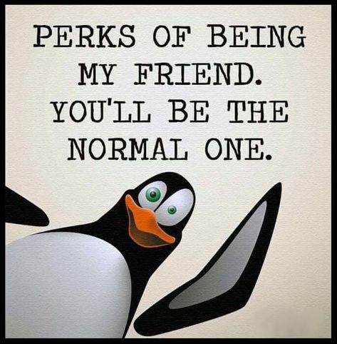 Perks Of Being My Friend Pictures, Photos, and Images for Facebook, Tumblr, Pinterest, and Twitter Bad Friendship Quotes, Funny Friend Pictures, Quotes Funny Life, Quotes Distance, Funny Quotes Humor, Funny Photos Ideas, Friendship Pictures, Quotes Humor, Best Friendship Quotes