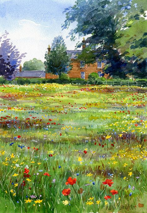 Wildflower Meadow – Neil Pearson Illustration Wildflower Field Illustration, Flower Meadow Watercolor, Watercolour Flower Field, Gouache Flower Field, Flower Meadow Drawing, Grandma Painting, Flower Meadow Painting, Meadow Illustration, Painting Techniques Canvas