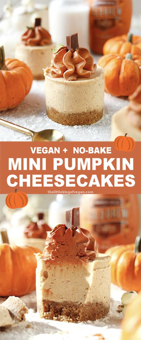 mini pumpkin cheesecake pinterest pin Lactose And Gluten Free Desserts, Pumpkin Cheesecake Dairy Free, Best Dairy Free Desserts, Vegan Desserts Fall, Small Pumpkin Cheesecake, Sweet Fall Recipes, Fall Desserts Vegan, Mini Vegan Desserts, Vegan Fall Appetizers