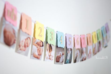 Rainbow First Birthday Photo Banner, Rainbow Milestone Banner, Rainbow Monthly Banner, Rainbow First Birthday Banner - Etsy Pastel Color Birthday Party Decorations, Pastel First Birthday Party, Rainbow First Birthday Party, Raya Party, Rainbow Baby Birthday, Pastel Birthday Party, Sweet One First Birthday, 1 Year Birthday Party Ideas, Milestone Banner