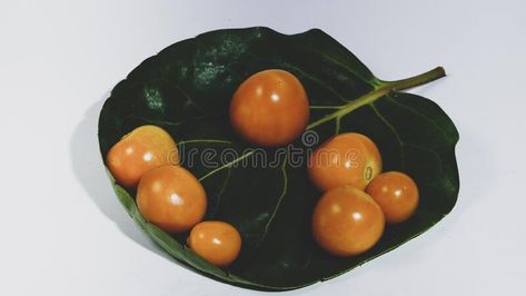 Fresh cape gooseberry fruits, the plant known as cape gooseberry stock photography Gooseberry Fruit, Cape Gooseberry, Fruit Plants, The Plant, Geometric Shapes, Stock Photography, Cape, Fruit, Plants