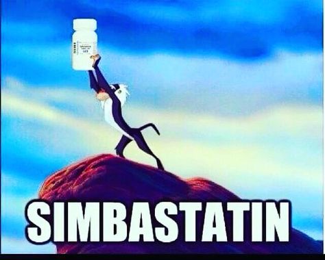 Simbastatin #simba #lionking #disney #pharmacy #pharmacyjokes #pharmacymeme #drugs #statins #cholesterol #tablets Pharmacy Meme, Pharmacy Technician Humor, Pharmacy Funny, Medical Memes, Nursing Quotes, Pharmacy Humor, Nursing Humor, Funny Nursing, Nursing Life