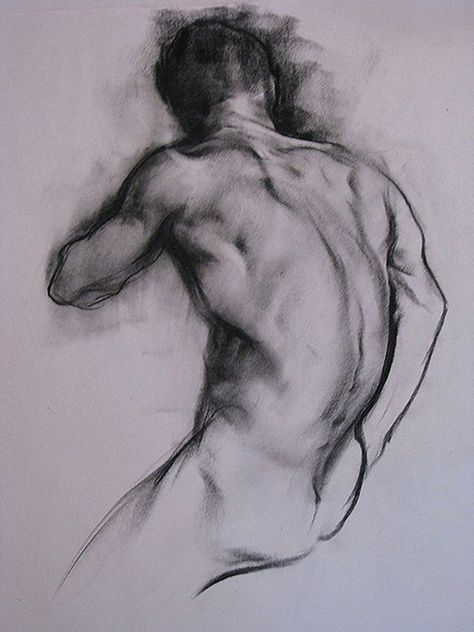 Human Figure Drawing, White Drawing, Charcoal Art, Figure Sketching, Gesture Drawing, Anatomy Drawing, Body Drawing, Black And White Drawing, Anatomy Art