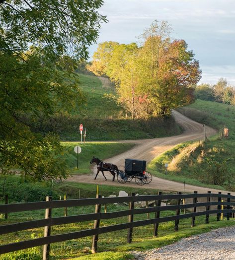 Holmes County Ohio, Amish Country Ohio, Ohio Map, Horse And Buggy, Perfect Road Trip, Cultural Activities, Amish Country, Beautiful Views, Outdoors Adventure