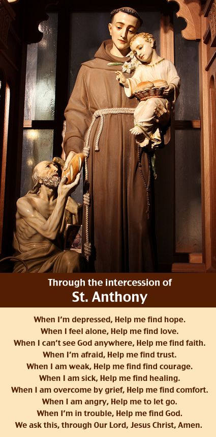 A prayer through the intercession of Saint Anthony Anthony Of Padua, St Anthony's, Saint Anthony Of Padua, Infant Jesus, Sacred Scripture, St Anthony, Saint Anthony, Catholic Quotes, We Are The World