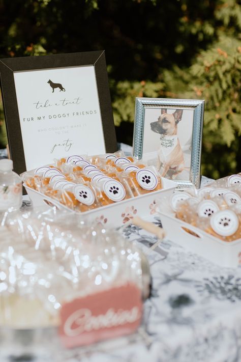 Dog Table At Wedding, Dog In A Wedding, Dog Involved In Wedding, Wedding Dog Treats, Wedding Dog Pictures, Dog Included In Wedding, How To Include Your Dog In Your Wedding, Ways To Include Dog In Wedding, Including Dog In Wedding