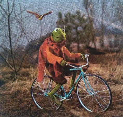 Jim Henson Aesthetic, Muppet Outfit, Muppets Aesthetic, Muppet Fashion, Kermit Wallpaper, Kermit Costume, Muppet Party, Fall Pfp, Fall Playlist