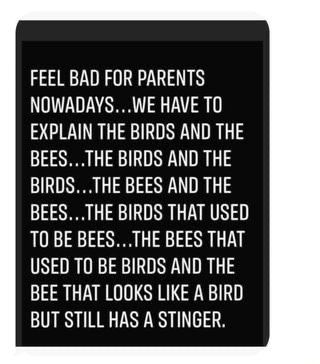 Birds And Bees Talk, Birds And Bees, Birds And The Bees, Bee, Birds, Parenting, Coding, Feelings, Memes