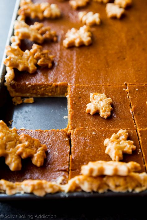 Perfectly creamy and spiced pumpkin slab pie to feed a crowd! Recipe on sallysbakingaddiction.com Pumpkin Slab Pie Recipe, Pumpkin Slab Pie, Buttery Flaky Pie Crust, Slab Pie Recipes, Mini Key Lime Pies, Apple Slab Pie, Slab Pie, Keylime Pie Recipe, Mini Pumpkin Pies