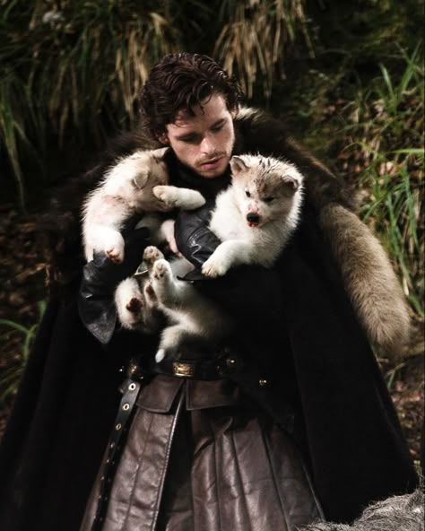 Game Of Thrones Facts, Robb Stark, The North Remembers, King In The North, Dire Wolf, Gra O Tron, House Stark, Valar Morghulis, Richard Madden