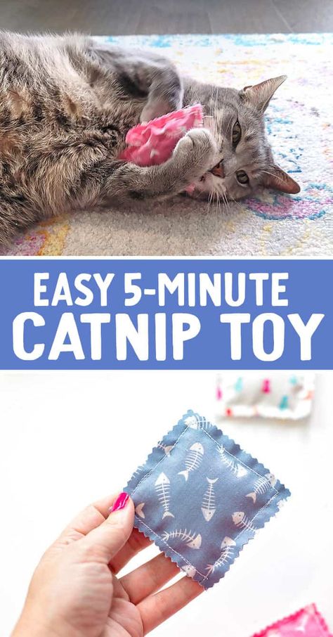 Sewing Projects For Cats Ideas, Making Cat Toys Ideas, Cat Sewing Ideas, How To Sew Cat Toys, Diy Sew Cat Toys, Diy Cat Toys To Sell, Home Made Cat Toys Ideas, Sewing For Cats, How To Make Cat Toys