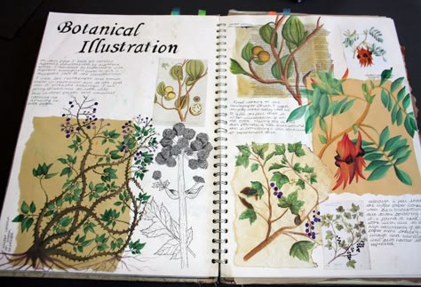 Sketchbook refrence work, a page looking into botanical illustration from over the years. I have used a cross section of media including watercolour and fineliner. Using different paper to work on has also been an essential part of these pages as I have experimented on working on sugar paper, newspaper and others.   Dimensions: Double page spread in A3 sketchbook. A3 Sketchbook, Doodles Sketchbooks, Kunstjournal Inspiration, Botanical Sketchbook, Sketchbook Layout, Textiles Sketchbook, Natural Form Art, Portfolio Fashion, Drawings Tutorials