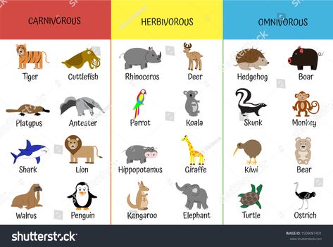 Carnivorous Animals For Kids, Herbivore Carnivore Omnivore Activities, Carnivores Animal, Omnivores Animals, Herbivores Animals, Animals Cartoon Images, Carnivore Animals, Farm Theme Preschool Activities, Carnivores Herbivores Omnivores