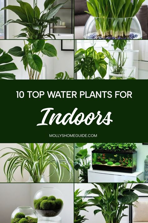 Explore the world of indoor gardening with ease by discovering the best water plants for your home. From beautiful aquatic plants to hassle-free zero-maintenance options, there's a wide array of houseplants that grow in water to choose from. Transition your favorite traditional soil-based plants into captivating water features for a unique and refreshing touch to your indoor space. With this watering guide at hand, caring for spider plants or any easy-to-grow plant in dazzling vases becomes a br Water Based Plants Indoor, Plants That Live In Water, Plants That Grow In Water Indoor, Plants Grow In Water, Plants To Grow In Water, Indoor Gardening Diy, Shower Plants, Growing Plants In Water, Water Plants Indoor