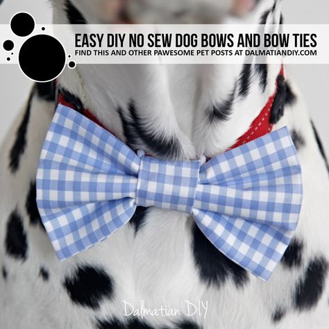 Diy Dog Bow Tie No Sew, Cat Bowtie Diy, No Sew Dog Bow Tie, Bows For Dogs Diy, Dog Bow Tie Diy Free Pattern Printable, Diy Dog Tie, Diy Dog Bows, Diy Dog Bandana No Sew, Dog Bows Diy