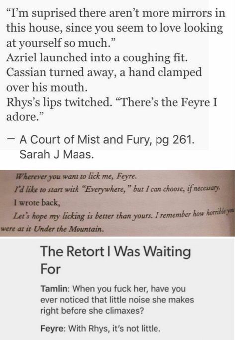 Feysand Fan Art Chapter 55, Feysand Chapter 55, Chapter 55 Acomaf, Acotar Shifting, Acotar Chapter 55, Feyre And Rhysand Chapter 55, Acotar Quotes, Quirky Books, Acotar Funny