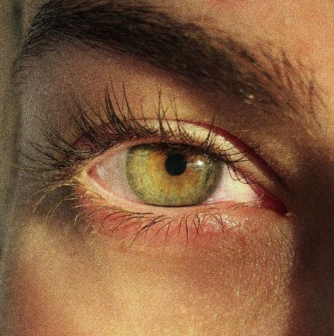 Eye Colours Aesthetic, Green Eye Photography, Aesthetic Eye Colors, Pretty Green Eyes Aesthetic, Hazel Yellow Eyes, Yellow Hazel Eyes, Green Eye Reference, Green Eyes With Gold Flecks, Green Gold Eyes