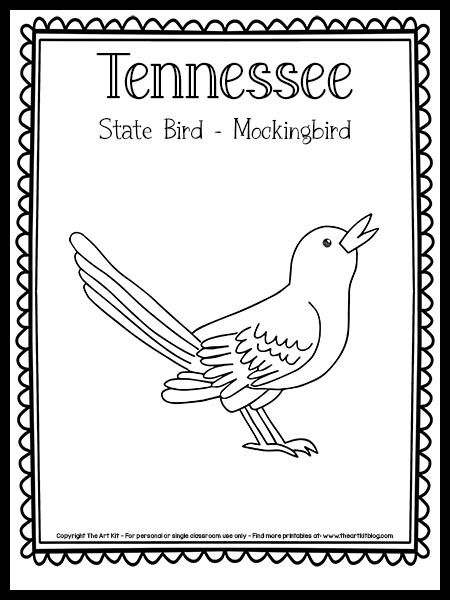 Tennessee State Bird Coloring Page (Mockingbird) {FREE Printable!} - The Art Kit Texas Mockingbird, Tennessee Crafts, Bird Coloring Page, Texas Symbols, Birds For Kids, Texas Crafts, Mocking Bird, Bird Coloring, The 50 States