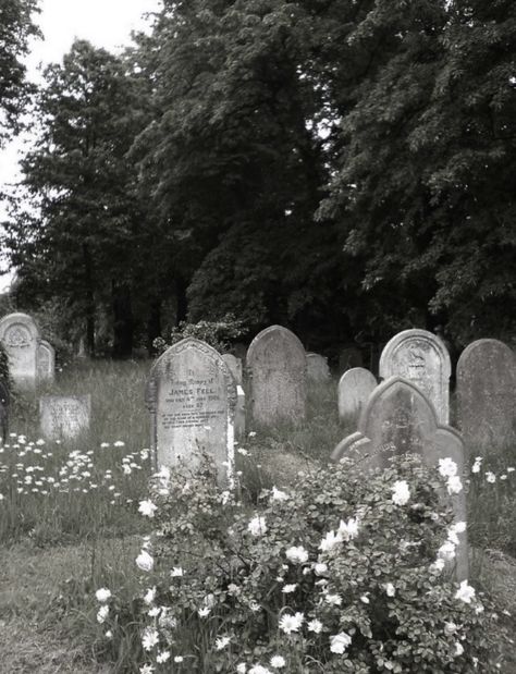 Old Gothic Aesthetic, Goth Aesthetic Images, Old Doll Aesthetic, Soft Gothic Aesthetic, White Gothic Aesthetic, Gloomy Coquette Aesthetic, Cemetery Aesthetic, Graveyard Aesthetic, White Goth Aesthetic