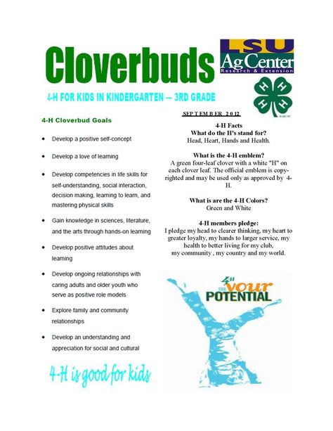 4h Cloverbuds Activities, Clover Bud 4h Crafts, 4h Chicken Project, Cloverbud 4h Projects, 4h Demonstration Ideas, Cloverbuds 4-h Activities, 4h Cloverbud, 4h Activities, Demonstration Ideas