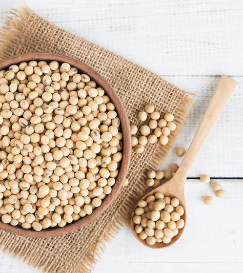 What Are The Health Benefits Of Soybeans + Nutrition Facts Soybean Benefits, Beetroot Juice Benefits, Turmeric Milk Benefits, Beetroot Benefits, Soy Beans, Soya Bean, Organic Bath Products, Soy Milk, Dietary Fiber