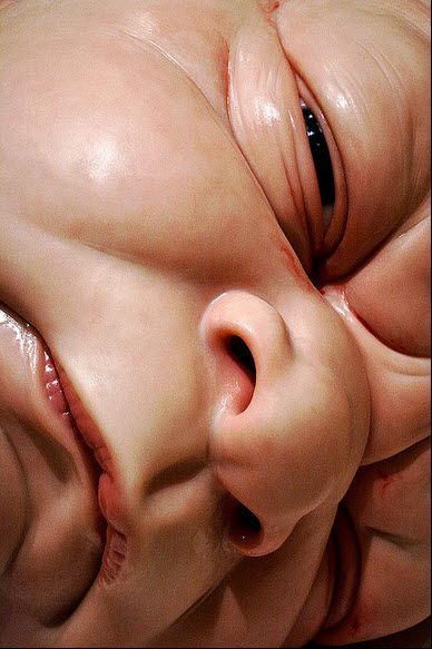 Detail of "A Girl" by Ron Mueck at the National Gallery of Victoria in Melbourne. (Reuters/Mick Tsikas) Ron Mueck Sculpture, Ron Mueck, Face Sculpting, Human Sculpture, Hyper Realistic Paintings, Year 11, Big Baby, Royal Academy Of Arts, Realistic Paintings