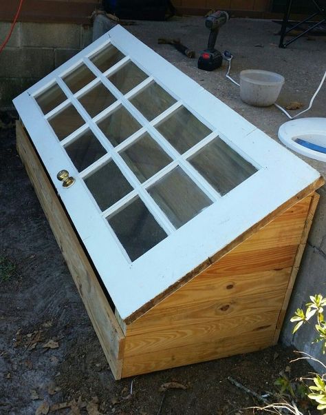 Serre Diy, Diy Mini Greenhouse, Diy Greenhouse Plans, Koti Diy, Backyard Greenhouse, Greenhouse Plans, Diy Greenhouse, Mini Greenhouse, Veg Garden