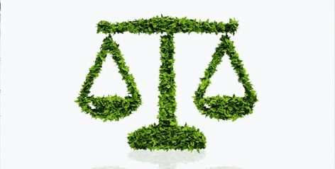 What You Need To Know About An Environmental Law Career Environmental Law Aesthetic, Environmental Lawyer, Lover Archetype, Law Career, Law Tattoo, Inspirational Aesthetic, Law Students, Environmental Law, Material Research