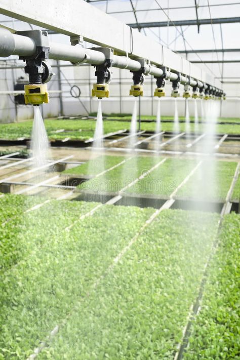 Earth Superpower, Watering Seedlings, Dispenser Ideas, Agriculture Pictures, Hydroponic Gardening System, Aqua Farm, Greenhouse Farming, Smart Farm, Farming Technology