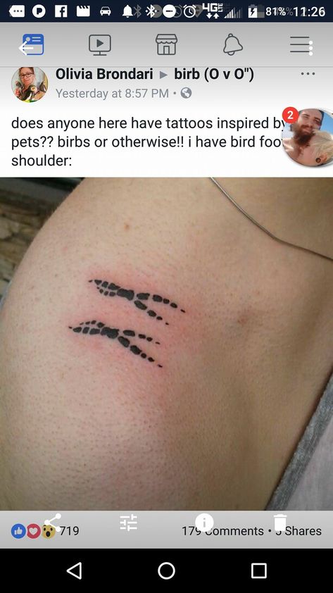 Bird Feet Tattoo, Crikey Tattoo, Sweetie Tattoo, Conure Tattoo, Budgie Tattoo, Cockatiel Tattoo, Parrot Tattoos, Bird Footprint, Parrot Tattoo