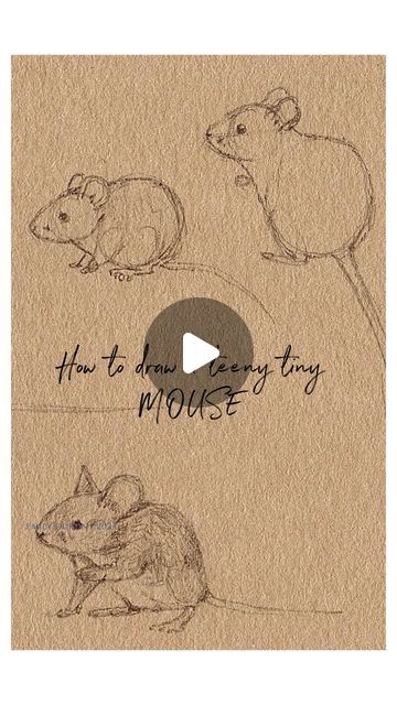 Emily Duffin Country Illustration on Instagram: "How to draw a teeny tiny MOUSE! 🐭   As promised here is a teeny tutorial! I’d love to see your little mousey sketches if you choose to give this a go🐭🩷  .  .  .  . #mouse #drawingtutorial #sketching #beatrixpotter #beatrixpotterworld #mice #miceofinstagram #fieldmouse #howtodraw #drawingtips #pencildrawing" Draw A Mouse Easy, Sketches Learning To Draw, Mouse Family Illustration, Maker Drawing Ideas, How To Draw A Mouse Step By Step, How To Draw Mouse, How To Draw A Hamster, Drawing Reference Animals, Cute Mice Drawings