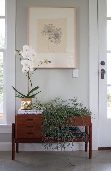 A Stylist’s Historic Beach Home in Oysterville, WA Tropical Bohemian, Vignette Styling, Lounge Ideas, New Orleans Homes, Gallery Walls, Home Tours, Living Room White, City Guides, Interior Stylist