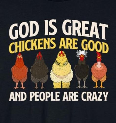 Coop Signs, Chicken Quotes, Grandkids Quotes, Chicken Funny, Chicken Care, Silly Quotes, Chicken Coop Signs, Sweet Chicken, Chicken Mom