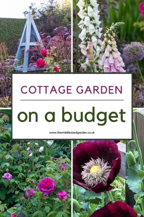 From empty space to brilliant cottage garden - on a shoestring budget. Lots of clever recycling ideas plus tips for keeping plant costs down. If you love cottage gardens, don't miss this 🌻🌲❤️😍 Garden On Budget, Simple Cottage Garden Ideas, Low Maintenance Garden Ideas On A Budget Uk, Narrow Cottage Garden, Beautiful Cottage Gardens, Small Cottage Garden Ideas On A Budget, Cottage Garden Trellis, How To Plan A Cottage Garden, Cottage On A Budget