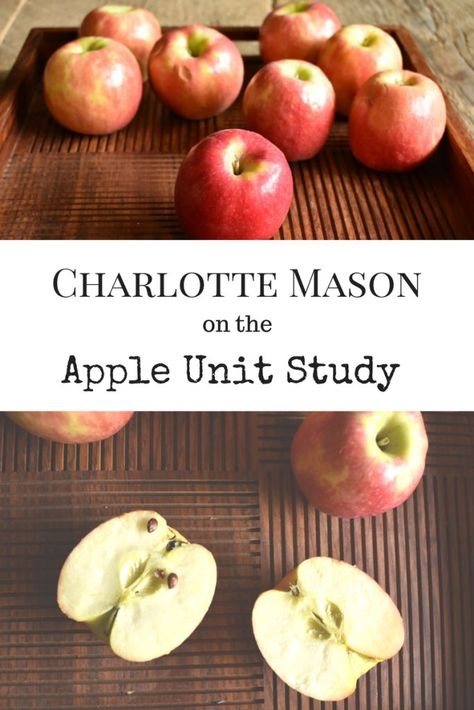 A Charlotte Mason perspective on unit studies. Apples Unit Kindergarten, Preschool Apple Unit, Charlotte Mason Preschool, Apple Unit Study, Apple Charlotte, Preschool Apple Activities, Biblical Homeschooling, America Pictures, Apples And Pumpkins