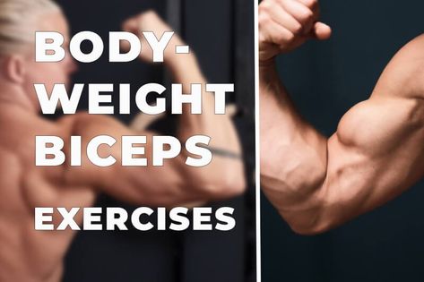 3 bodyweight biceps exercises - Isolate biceps with bodyweight training Bicep Bodyweight Exercises, Bodyweight Bicep Exercises, Exercises For Biceps, Calisthenics Program, Biceps Training, Strength Program, Bodyweight Training, Bicep Muscle, Bodyweight Exercises