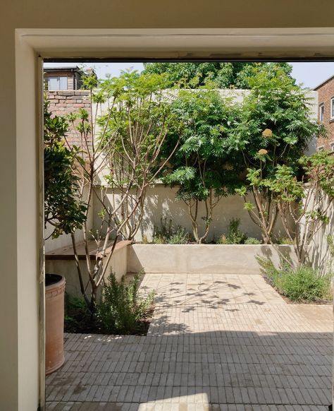 Small Courtyard Garden, Small City Garden, Small Courtyard, Small Courtyard Gardens, Courtyard Gardens Design, Minimalist Garden, London Garden, Small Courtyards, Garden Architecture