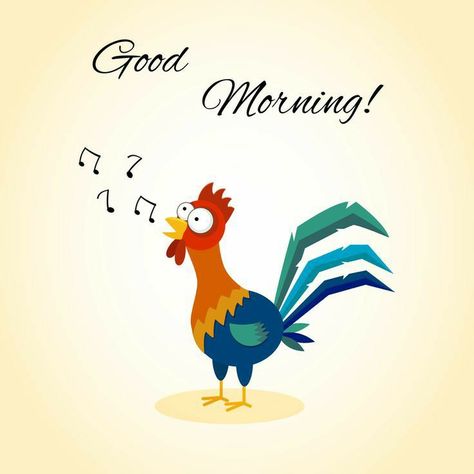 Rooster Images, Very Good Morning Images, Good Morning Rose Images, Good Morning Monday Images, Good Morning Cartoon, Latest Good Morning Images, Latest Good Morning, Happy Week End, Picture Wallpaper