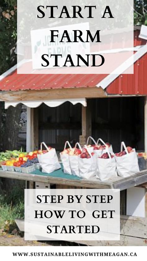 How To Start A Farm Business, Starting A Farm Stand, Starting A Small Farm, How To Build A Roadside Stand, Pay What You Can Farm Stand, Small Farm Store Ideas, Farm Produce Stand, Farm Stand Ideas To Sell, Easy Diy Farm Stand